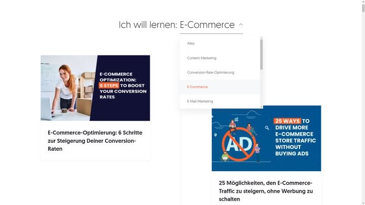 Suche nach Artikeln zum Thema Online-Marketing, sortiert nach Marketing-Bereich